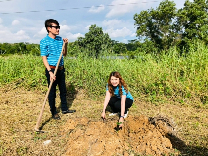 ไฟล์แนบ การประปาส่วนภูมิภาคสาขาปากน้ำประแสร์ ร่วมทำกิจกรรมวันรักต้นไม้แห่งชาติ