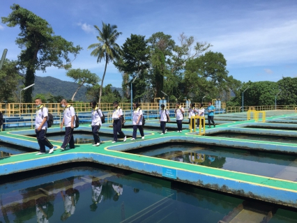 ไฟล์แนบ กปภ.สาขาภูเก็ต ให้การต้อนรับคณะนักเรียนที่มาศึกษาดูงานจากโรงเรียนบ้านสามกอง (ขุนวิเศษนุกูลกิจอุทิศ)