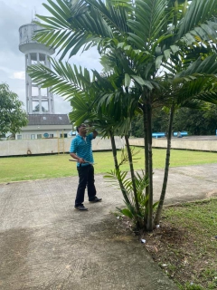 ไฟล์แนบ กปภ.สาขาชะอวดจัดกิจกรรม Big Cleaning Day