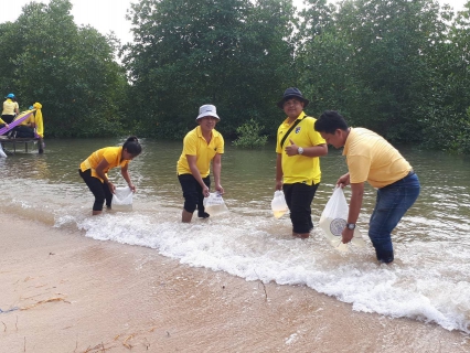 ไฟล์แนบ กปภ.สาขาเกาะพะงัน เข้าร่วมกิจกรรมจิตอาสาฯ ณ คลองศาลาคอย ม.4 ต.เกาะพะงัน อ.เกาะพะงัน จ.สุราษฏร์ธานี