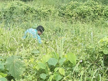 ไฟล์แนบ การประปาส่วนภูมิภาคสาขากระบี่ ดำเนินงานตามแผนบริหารจัดการน้ำสูญเสีย เดินหน้าลงพื้นที่ อำเภอเขาพนม เดินหาท่อแตกรั่ว เพื่อลดการเกิดน้ำสูญเสีย 