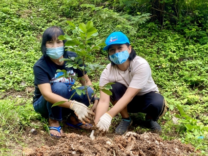 ไฟล์แนบ การประปาส่วนภูมิภาคสาขากระบี่ ร่วมกันปลูกต้นไม้และบำรุงรักษาต้นไม้ เนื่องในวันต้นไม้ประจำปีของชาติ พ.ศ.2564