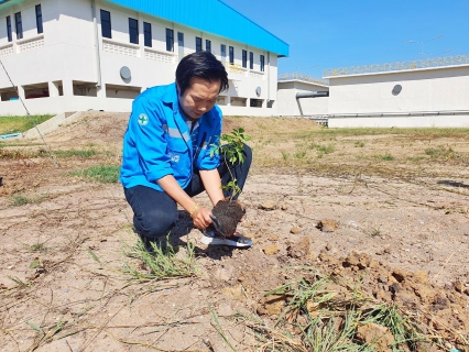 ไฟล์แนบ กปภ.สาขาปทุมธานี จัดกิจกรรมปลูกต้นไม้ เนื่องในวันต้นไม้ประจำปีของชาติ ภายใต้ชื่อ "รวมใจไทย ปลูกต้นไม้ เพื่อแผ่นดิน" สืบสานสู่ 100 ล้านต้น พ.ศ.2564 