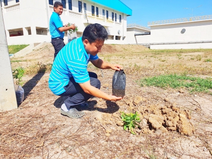 ไฟล์แนบ กปภ.สาขาปทุมธานี จัดกิจกรรมปลูกต้นไม้ เนื่องในวันต้นไม้ประจำปีของชาติ ภายใต้ชื่อ "รวมใจไทย ปลูกต้นไม้ เพื่อแผ่นดิน" สืบสานสู่ 100 ล้านต้น พ.ศ.2564 