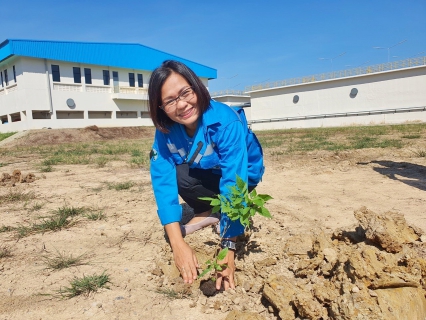 ไฟล์แนบ กปภ.สาขาปทุมธานี จัดกิจกรรมปลูกต้นไม้ เนื่องในวันต้นไม้ประจำปีของชาติ ภายใต้ชื่อ "รวมใจไทย ปลูกต้นไม้ เพื่อแผ่นดิน" สืบสานสู่ 100 ล้านต้น พ.ศ.2564 