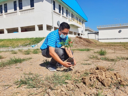 ไฟล์แนบ กปภ.สาขาปทุมธานี จัดกิจกรรมปลูกต้นไม้ เนื่องในวันต้นไม้ประจำปีของชาติ ภายใต้ชื่อ "รวมใจไทย ปลูกต้นไม้ เพื่อแผ่นดิน" สืบสานสู่ 100 ล้านต้น พ.ศ.2564 