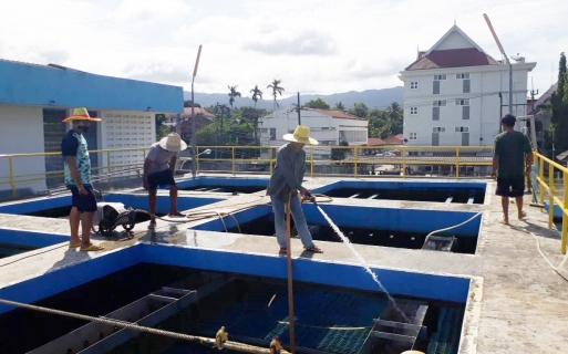 ไฟล์แนบ การประปาส่วนภูมิภาคสาขาทุ่งสงล้างถังตกตะกอน โครงการการการจัดการน้ำสะอาด Water Safety Plan