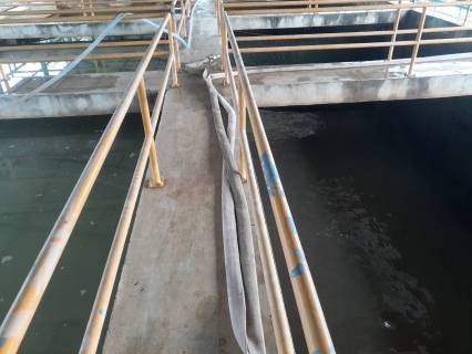 ไฟล์แนบ กปภ.สาขาชัยนาท ดำเนินการจัดกิจกรรม Big Cleaning Day