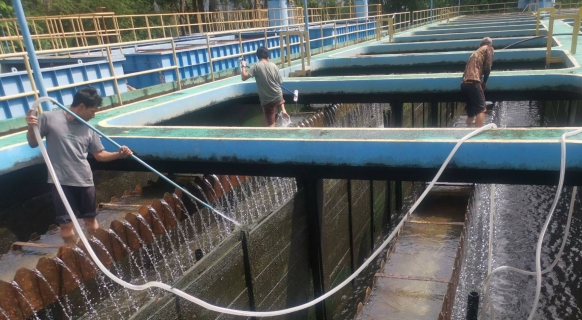 ไฟล์แนบ กปภ.สาขาภูเก็ต ดำเนินการล้างถังตกตะกอน ภายใต้โครงการ บริหารจัดการน้ำสะอาด Water Safety Plan ณ สถานีผลิตน้ำบางวาด