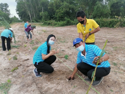 ไฟล์แนบ กปภ.สาขาสุวรรณภูมิร่วมกับกปภ.ข.6 จัดกิจกรรมโครงการดำเนินงานตามแผนงานกิจกรรม CSR อนุรักษ์และสืบสานตาลโตนด
