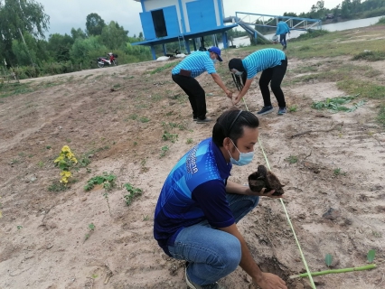 ไฟล์แนบ กปภ.สาขาสุวรรณภูมิร่วมกับกปภ.ข.6 จัดกิจกรรมโครงการดำเนินงานตามแผนงานกิจกรรม CSR อนุรักษ์และสืบสานตาลโตนด
