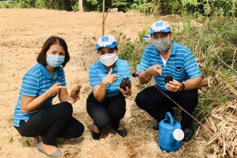 ไฟล์แนบ กปภ.สาขาในสังกัด กปภ.ข.6 Kick Off กิจกรรมโครงการ CSR อนุรักษ์และสืบสานตาลโตนด