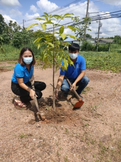 ไฟล์แนบ กปภ.สาขากำแพงเพชร จัดกิจกรรมวันรักต้นไม้ประจำปีของชาติ 2564