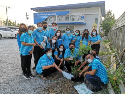 ไฟล์แนบ กปภ.สาขาธัญบุรี จัดกิจกรรม วันรักต้นไม้ประจำปีของชาติ พ.ศ.2564
