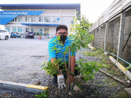 ไฟล์แนบ กปภ.สาขาธัญบุรี จัดกิจกรรม วันรักต้นไม้ประจำปีของชาติ พ.ศ.2564