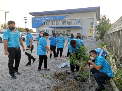 ไฟล์แนบ กปภ.สาขาธัญบุรี จัดกิจกรรม วันรักต้นไม้ประจำปีของชาติ พ.ศ.2564