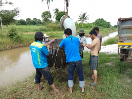 ไฟล์แนบ ผจก.กปภ.สาขาสมุทรสาคร ลงพื้นที่กำกับดูแลการซ่อมเครื่องสูบน้ำดิบคลองชลประทาน และแรงต่ำ