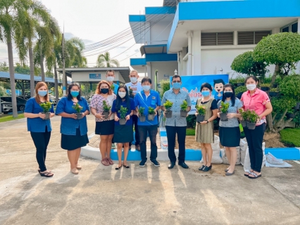 ไฟล์แนบ กปภ.สาขาอ้อมน้อยจัดกิจกรรมเสริมสร้างความสามัคคีโดยการร่วมกันปรับปรุงภูมิทัศน์โดยรอบสำนักงาน