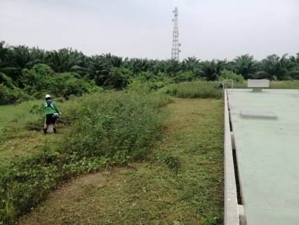 ไฟล์แนบ วันอังคารที่&#8203; 21 ธันวาคม 2564 การประปาส่วนภูมิภาคสาขากาญจนดิษฐ์ ภายใต้การบริหารงานโดยนาย สุรพงศ์ สมหวัง ผู้จัดการการประปาส่วนภูมิภาคสาขากาญจนดิษฐ์ ได้มอบหมายให้นายอัครเดช เพ็ชรโชติ หัวหน้างาน 8 งานผลิต พร้อมพนักงานในสังกัด เข้าดำเนินการพัฒนา&#8203; ตัดหญ้า บริเวณ&#8203;สถานี&#8203;เพิ่มแรงดันพลายวาส  การประประส่วนภูมิภาคสาขากาญจนดิษฐ์