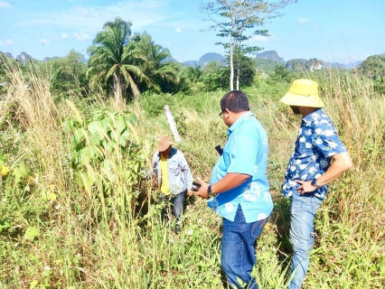 ไฟล์แนบ การประปาส่วนภูมิภาคสาขากระบี่ ดำเนินการแผนงานบริหารและจัดการน้ำสูญเสีย ตรวจวัดอัตราการไหลของน้ำในพื้นที่ระบบจ่ายน้ำประปา