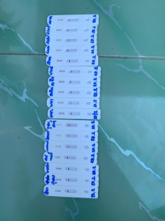 ไฟล์แนบ กปภ.สาขาพนมทวน ดำเนินการตรวจเชิงรุกหาเชื้อโควิด-19 ด้วยการตรวจ ANTIGEN TEST KIT (ATK)