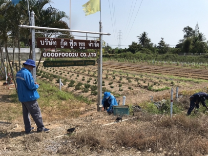 ไฟล์แนบ กปภ.สาขาปราณบุรี ลงพื้นที่ออกหาท่อแตก-ท่อรั่ว เชิงรุก (Active Leak Control) ตรวจสอบปัญหาน้ำไหลอ่อน พร้อมแก้ไขทันที ตามแผนลดน้ำสูญเสีย บริเวณ หมู่บ้านหนองยิงหมี หมู่ที่ 12 ตำบลหนองตาแต้ม อำเภอปราณบุรี จังหวัดประจวบฯ