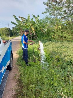 ไฟล์แนบ การประปาส่วนภูมิภาคสาขาอ่าวลึก ดำเนินการตามแผนงานบริการและควบคุมน้ำสูญเสีย โบล์วตะกอน ตามแผนระบายตะกอนในเส้นท่อ