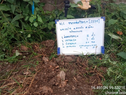 ไฟล์แนบ กปภ.สาขากำแพงเพชร เร่งสำรวจท่อรั่ว พร้อมดำเนินการแก้ไขโดยเร็วกำชับ!!เน้นให้กระทบพี่น้องประชาชนให้น้อยที่สุด 