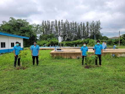 ไฟล์แนบ กปภ.สาขากำแพงเพชร ร่วมกันรับผิดชอบต่อสังคมและสิ่งแวดล้อม ภายใต้โครงการ กปภ.ปลูกป่าเพื่อแผ่นดิน 