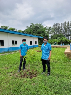 ไฟล์แนบ กปภ.สาขากำแพงเพชร ร่วมกันรับผิดชอบต่อสังคมและสิ่งแวดล้อม ภายใต้โครงการ กปภ.ปลูกป่าเพื่อแผ่นดิน 