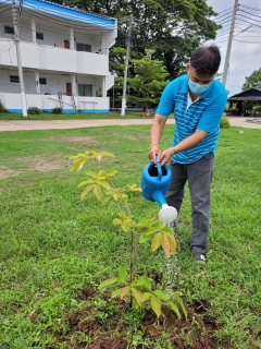 ไฟล์แนบ กปภ.สาขากำแพงเพชร ร่วมกันรับผิดชอบต่อสังคมและสิ่งแวดล้อม ภายใต้โครงการ กปภ.ปลูกป่าเพื่อแผ่นดิน 