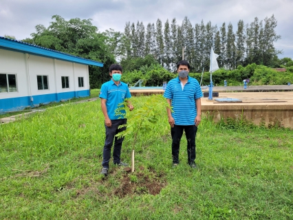 ไฟล์แนบ กปภ.สาขากำแพงเพชร ร่วมกันรับผิดชอบต่อสังคมและสิ่งแวดล้อม ภายใต้โครงการ กปภ.ปลูกป่าเพื่อแผ่นดิน 