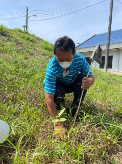 ไฟล์แนบ การประปาส่วนภูมิภาคสาขาชุมพร ดำเนินกิจกรรม"รวมใจไทย...ปลูกต้นไม้เพื่อแผ่นดิน" สืบสานสู่ 100 ล้านต้น ณ สถานีผลิตน้ำนาชะอัง ตำบลนาชะอัง อำเภอเมือง จังหวัดชุมพร