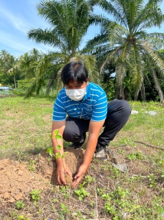ไฟล์แนบ การประปาส่วนภูมิภาคสาขาชุมพร ดำเนินกิจกรรม"รวมใจไทย...ปลูกต้นไม้เพื่อแผ่นดิน" สืบสานสู่ 100 ล้านต้น ณ สถานีผลิตน้ำนาชะอัง ตำบลนาชะอัง อำเภอเมือง จังหวัดชุมพร