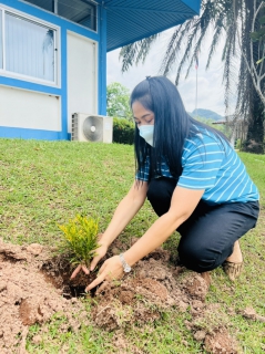 ไฟล์แนบ กปภ.สาขาภูเก็ต ดำเนินการจัดกิจกรรมโครงการ กปภ.ปลูกป่าเพื่อแผ่นดิน เทิดพระเกียรติพระบาทสมเด็จพระบรมชนกาธิเบศร มหาภูมิพลอดุลยเดชมหาราช บรมนาถบพิตร ปี 2565  