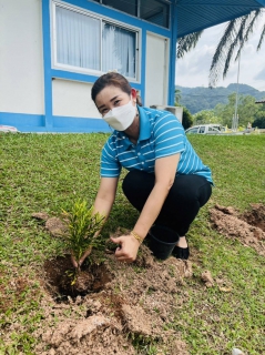 ไฟล์แนบ กปภ.สาขาภูเก็ต ดำเนินการจัดกิจกรรมโครงการ กปภ.ปลูกป่าเพื่อแผ่นดิน เทิดพระเกียรติพระบาทสมเด็จพระบรมชนกาธิเบศร มหาภูมิพลอดุลยเดชมหาราช บรมนาถบพิตร ปี 2565  