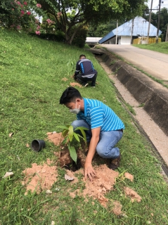 ไฟล์แนบ กปภ.สาขาภูเก็ต ดำเนินการจัดกิจกรรมโครงการ กปภ.ปลูกป่าเพื่อแผ่นดิน เทิดพระเกียรติพระบาทสมเด็จพระบรมชนกาธิเบศร มหาภูมิพลอดุลยเดชมหาราช บรมนาถบพิตร ปี 2565  
