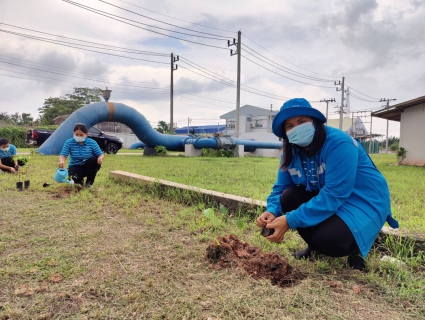 ไฟล์แนบ การประปาส่วนภูมิภาคสาขากาญจนดิษฐ์ ดำเนินการจัดกิจกรรมโครงการ กปภ.ปลูกป่าเพื่อแผ่นดิน เทิดพระเกียรติพระบาทสมเด็จพระบรมชนกาธิเบศร มหาภูมิพลอดุลยเดชมหาราช บรมนาถบพิตร ปี 2565