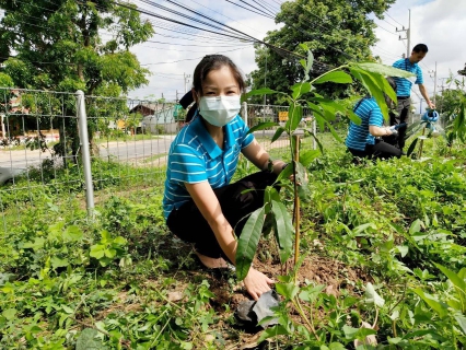 ไฟล์แนบ การประปาส่วนภูมิภาคสาขาฮอด จัดกิจกรรมวันต้นไม้แห่งชาติ ในโครงการ กปภ.ปลูกป่าเพื่อแผ่นดิน เทิดพระเกียรติพระบาทสมเด็จพระบรมชนกาธิเบศร มหาภูมิพลอดุลยเดชมหาราช บรมนาถบพิตร ปี2565