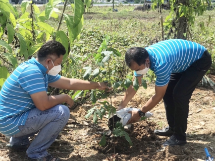 ไฟล์แนบ การประปาส่วนภูมิภาคสาขาจันดี ดำเนินโครงการ กปภ.ปลูกป่าเพื่อแผ่นดิน เทิดพระเกียรติพระบาทสมเด็จพระบรมชนกาธิเบศร มหาภูมิพลอดุลยเดชมหาราช บรมนาถบพิตร ปี 2565