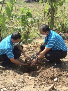 ไฟล์แนบ การประปาส่วนภูมิภาคสาขาจันดี ดำเนินโครงการ กปภ.ปลูกป่าเพื่อแผ่นดิน เทิดพระเกียรติพระบาทสมเด็จพระบรมชนกาธิเบศร มหาภูมิพลอดุลยเดชมหาราช บรมนาถบพิตร ปี 2565