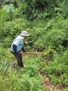 ไฟล์แนบ การประปาส่วนภูมิภาคสาขาคลองท่อมลงพื้นที่สำรวจหาท่อแตกรั่ว บริเวณพื้นที่ตำบลคลองพน อำเภอคลองท่อม จังหวัดกระบี่