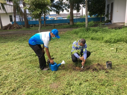 ไฟล์แนบ กปภ.สาขาปากพนัง จัดกิจกรรม โครงการ กปภ.ปลูกป่าเพื่อแผ่นดิน เทิดพระเกียรติพระบาทสมเด็จ พระบรมชนกาธิเบศร มหาภูมิพลอดุลยเดชมหาราช บรมนาถบพิตร ปี 2565