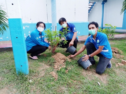 ไฟล์แนบ การประปาส่วนภูมิภาคสาขาปราณบุรี ดำเนินโครงการ กปภ. ปลูกป่าเพื่อแผ่นดิน เทิดพระเกียรติพระบาทสมเด็จพระบรมชนกาธิเบศร  มหาภูมิพลอดุลยเดชมหาราช บรมนาถบพิตร (Fathers Land)