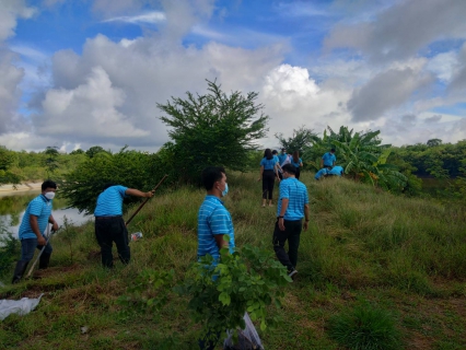 ไฟล์แนบ "กปภ. ปลูกป่าเพื่อแผ่นดิน เทิดพระเกียรติพระบาทสมเด็จพระบรมชนกาธิเบศร มหาภูมิพลอดุลยเดชมหาราช บรมนาถบพิตร (Fathers Land)"
