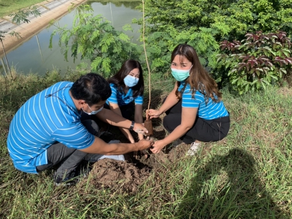 ไฟล์แนบ "กปภ. ปลูกป่าเพื่อแผ่นดิน เทิดพระเกียรติพระบาทสมเด็จพระบรมชนกาธิเบศร มหาภูมิพลอดุลยเดชมหาราช บรมนาถบพิตร (Fathers Land)"