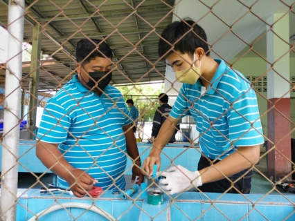 ไฟล์แนบ กปภ.สาขาปราณบุรี ดำเนินการโครงการ บริหารจัดการทรัพยากรน้ำอย่างรู้คุณค่า DSM (Demand Side Management)  ณ โรงเรียนเพชรบุรีปัญญานุกุล อำเภอชะอำ จังหวัดเพชรบุรี 