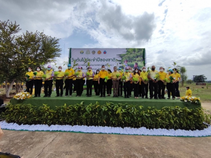 ไฟล์แนบ เมื่อวันที่ 19 พ.ค.65  นางอรวรรณ รัตนจักร์ ผู้จัดการการประปาส่วนภูมิภาคสาขาเกาะคาและพนักงานในสังกัด ร่วมกิจกรรมวันต้นไม้ประจำปีของชาติ พ.ศ.2565 ณ บริเวณที่ราชพัสดุ ท้องที่ตำบลศาลา อำเภอเกาะคา จังหวัดล