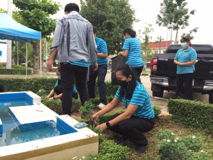 ไฟล์แนบ เมื่อวันที่ 11 พฤษภาคม 2565 นำโดย นางอรวรรณ รัตนจักร์ ผู้จัดการ กปภ.สาขาเกาะคา พร้อมด้วยพนักงานและลูกจ้างในสังกัด จัดกิจกรรมโครงการ กปภ.ปลูกป่าเพื่อแผ่นดิน เทิดพระเกียรติพระบาทสมเด็จพระบรมชนกาธิเบศร ม