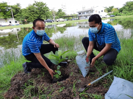 ไฟล์แนบ กปภ.สาขาพระนครศรีอยุธยา(พ) จัดกิจกรรมปลูกป่าเพื่อแผ่นดิน เทิดพระเกียรติพระบาทสมเด็จพระบรมชนกาธิเบศร มหาภูมิพลอดุลยเดชมหาราช บรมนาถบพิตร (Father's Land)